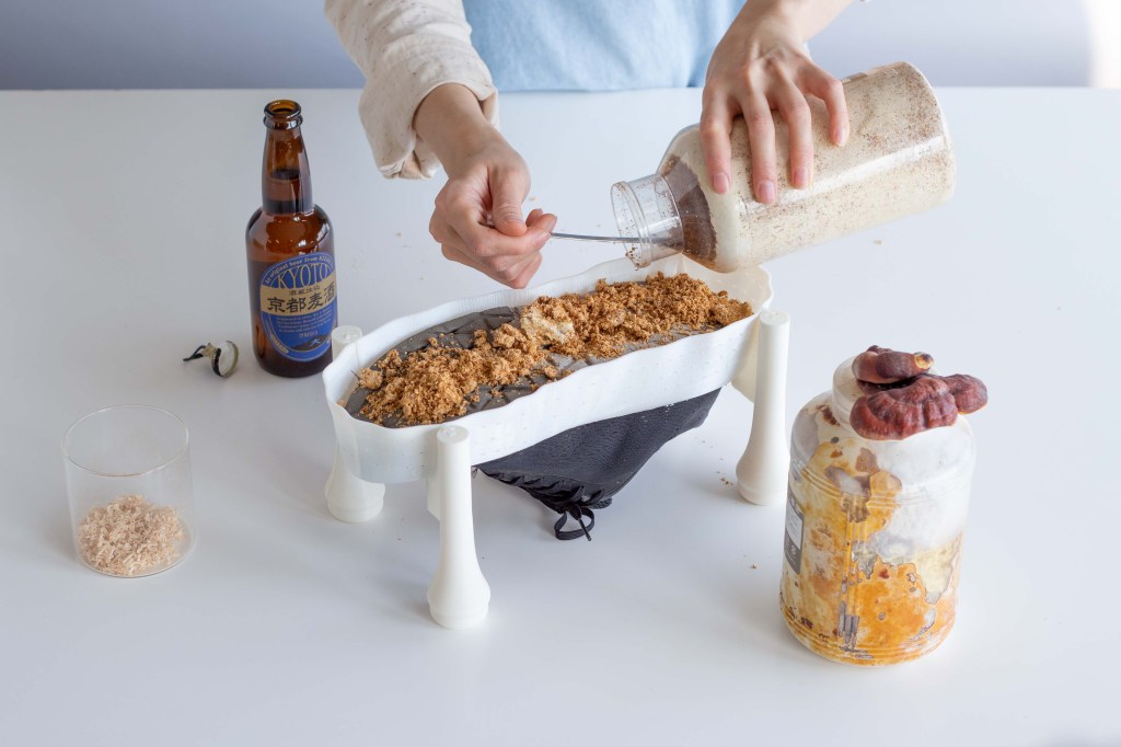 Mending with Mycelium