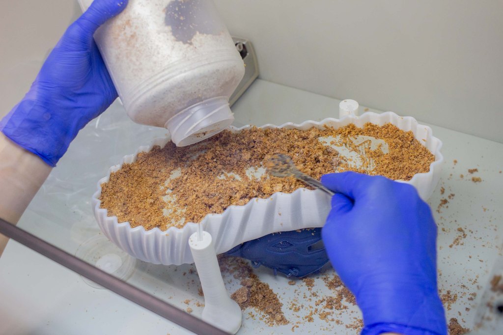 Exhibition – Nieuwelingen 2024 @ Van Eesteren&nbsp;Museum